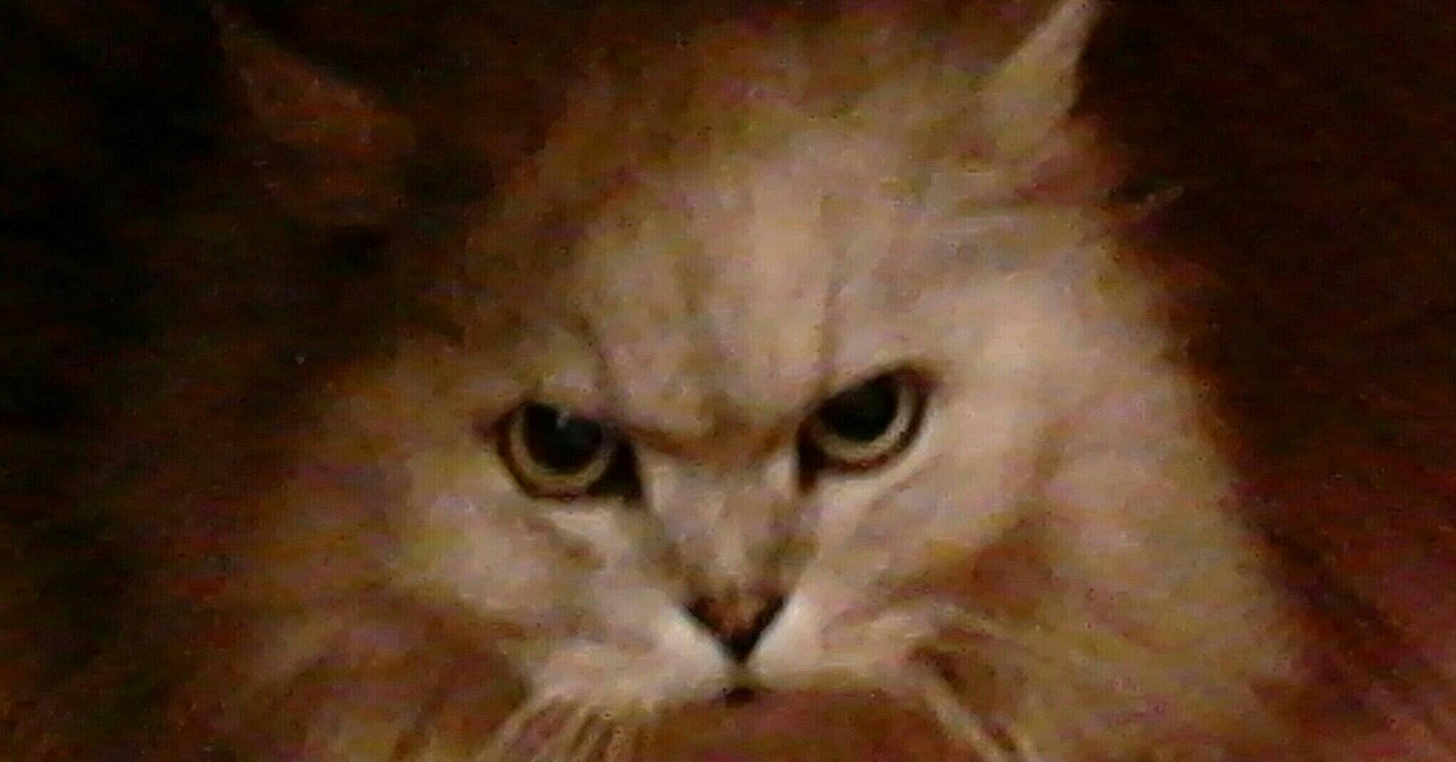 Ворчание котят